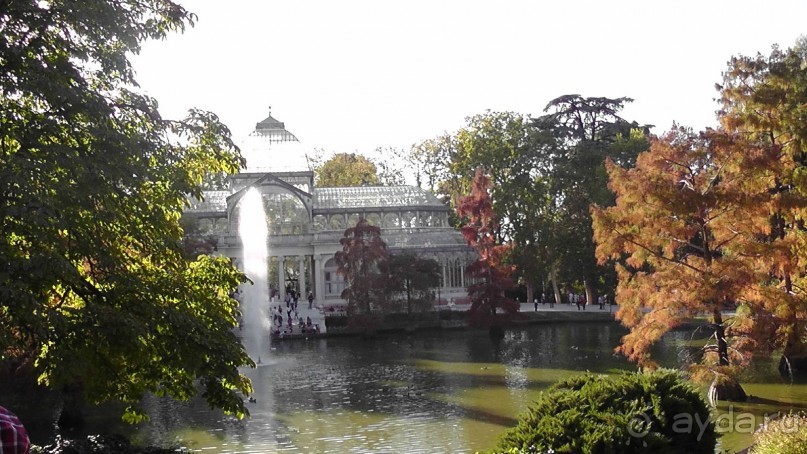 Мадрид. «Вы прекрасны, мой король!». День второй.