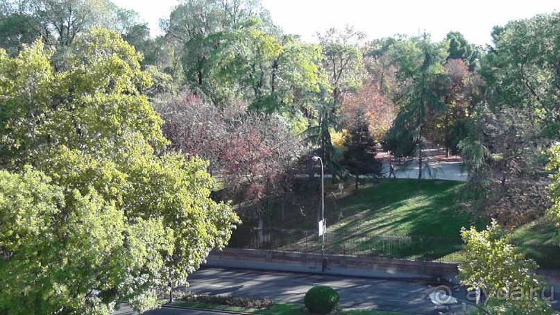 Мадрид. «Вы прекрасны, мой король!». День второй.