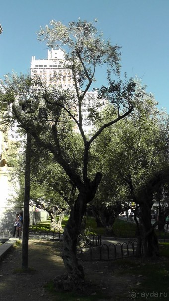 Мадрид. «Вы прекрасны, мой король!». День второй.