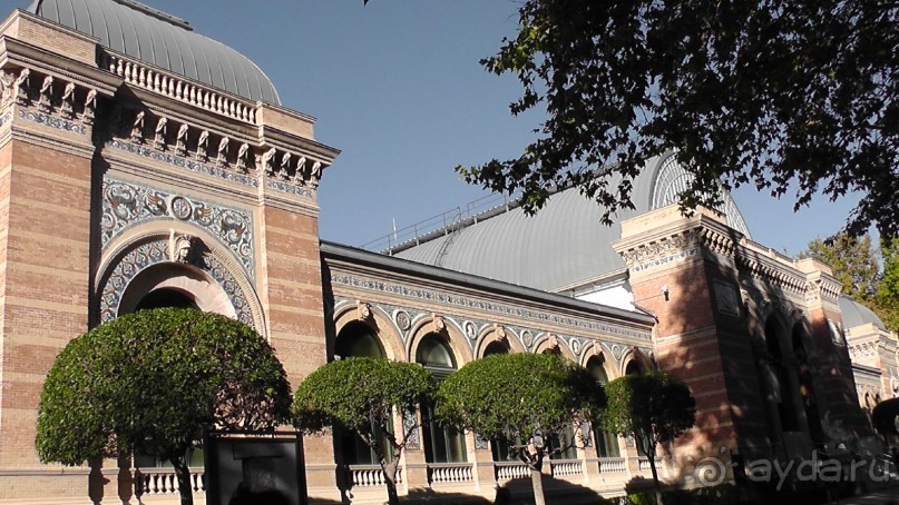 Мадрид. «Вы прекрасны, мой король!». День второй.