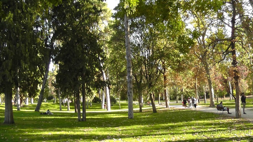 Мадрид. «Вы прекрасны, мой король!». День второй.