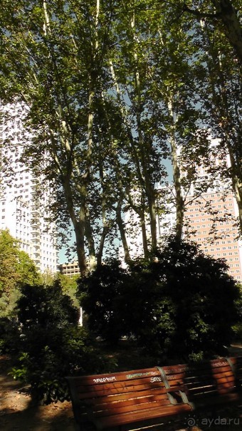 Мадрид. «Вы прекрасны, мой король!». День второй.