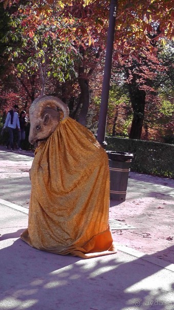 Мадрид. «Вы прекрасны, мой король!». День второй.