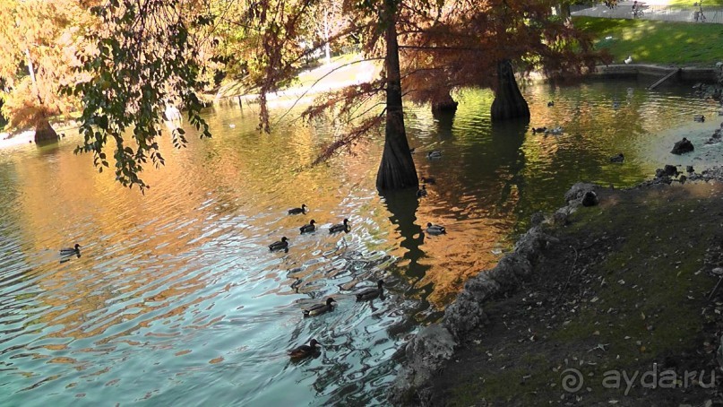 Мадрид. «Вы прекрасны, мой король!». День второй.