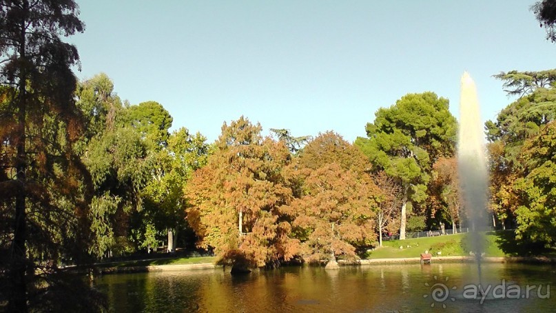 Мадрид. «Вы прекрасны, мой король!». День второй.