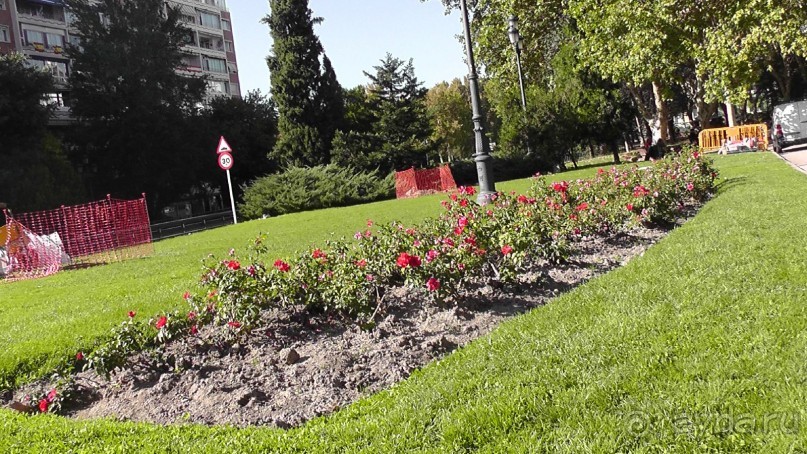 Мадрид. «Вы прекрасны, мой король!». День второй.