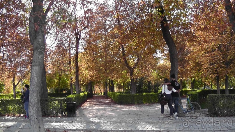 Мадрид. «Вы прекрасны, мой король!». День второй.