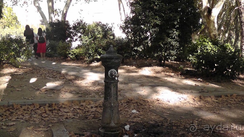 Мадрид. «Вы прекрасны, мой король!». День второй.