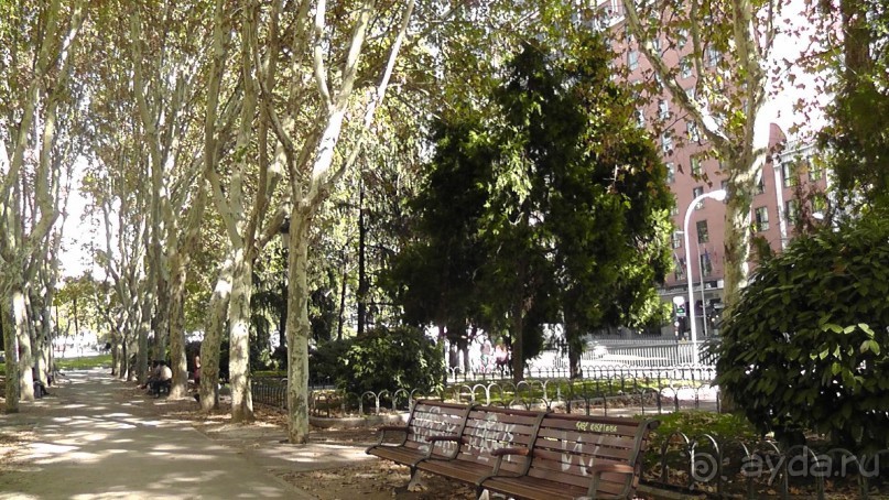 Мадрид. «Вы прекрасны, мой король!». День второй.