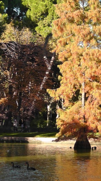 Мадрид. «Вы прекрасны, мой король!». День второй.