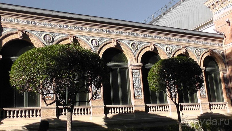 Мадрид. «Вы прекрасны, мой король!». День второй.