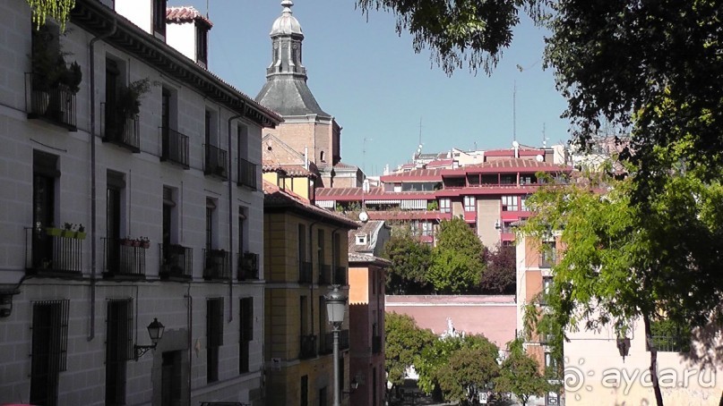 Мадрид. «Вы прекрасны, мой король!». День второй.