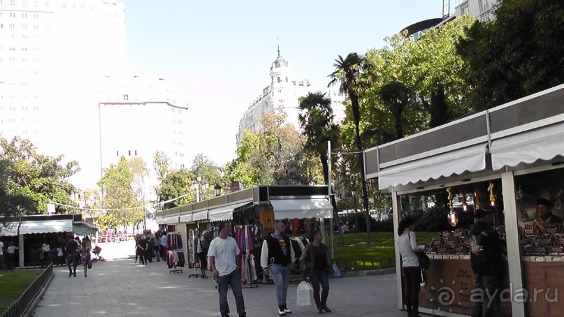 Мадрид. «Вы прекрасны, мой король!». День второй.