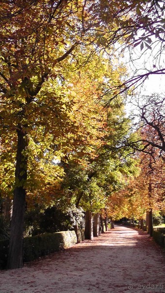Мадрид. «Вы прекрасны, мой король!». День второй.