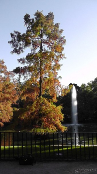 Мадрид. «Вы прекрасны, мой король!». День второй.