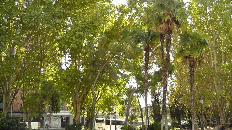 Мадрид. «Вы прекрасны, мой король!». День второй.