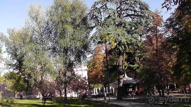 Мадрид. «Вы прекрасны, мой король!». День второй.