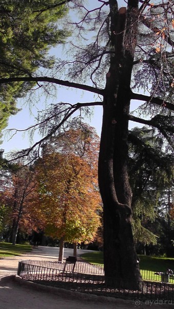 Мадрид. «Вы прекрасны, мой король!». День второй.