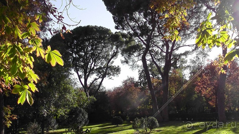 Мадрид. «Вы прекрасны, мой король!». День второй.