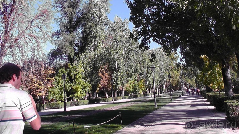 Мадрид. «Вы прекрасны, мой король!». День второй.