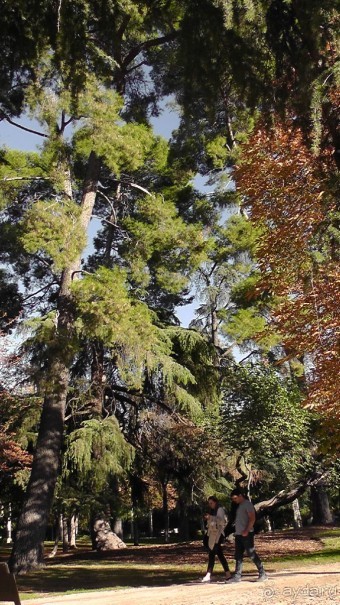Мадрид. «Вы прекрасны, мой король!». День второй.
