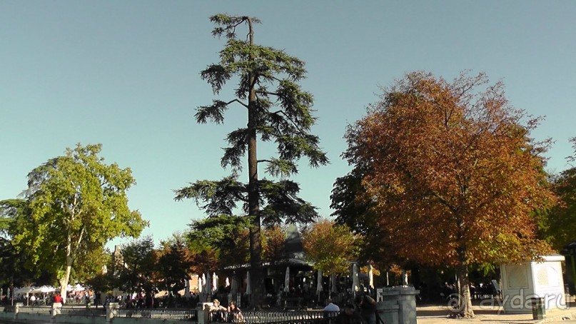 Мадрид. «Вы прекрасны, мой король!». День второй.