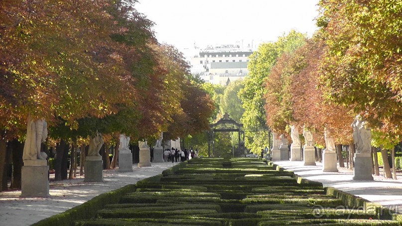 Мадрид. «Вы прекрасны, мой король!». День второй.