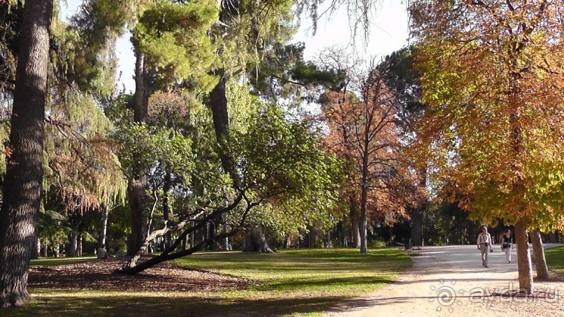Мадрид. «Вы прекрасны, мой король!». День второй.