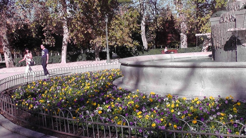 Мадрид. «Вы прекрасны, мой король!». День второй.