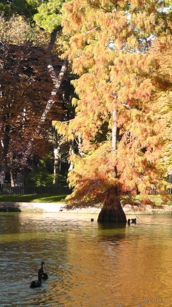 Мадрид. «Вы прекрасны, мой король!». День второй.