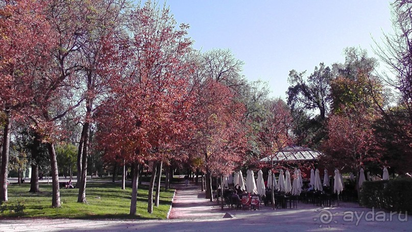 Мадрид. «Вы прекрасны, мой король!». День второй.