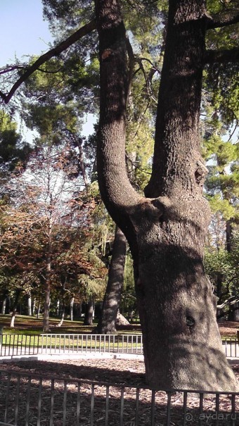 Мадрид. «Вы прекрасны, мой король!». День второй.