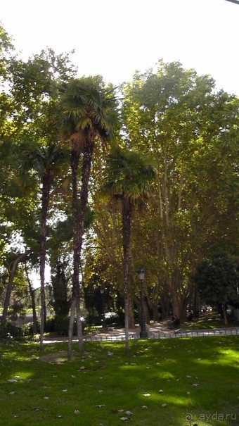 Мадрид. «Вы прекрасны, мой король!». День второй.