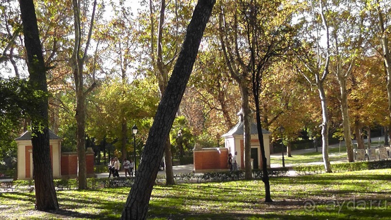 Мадрид. «Вы прекрасны, мой король!». День второй.