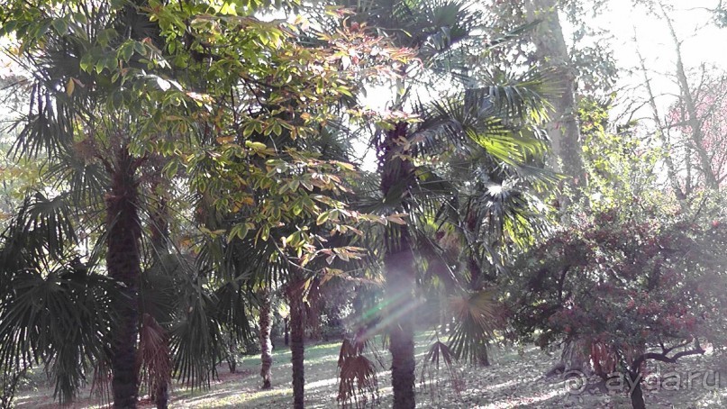 Мадрид. «Вы прекрасны, мой король!». День второй.