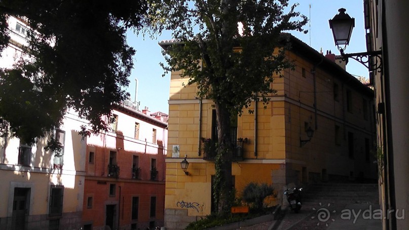 Мадрид. «Вы прекрасны, мой король!». День второй.