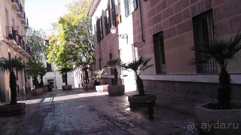 Мадрид. «Вы прекрасны, мой король!». День второй.