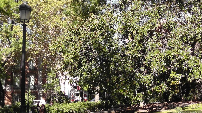 Мадрид. «Вы прекрасны, мой король!». День второй.