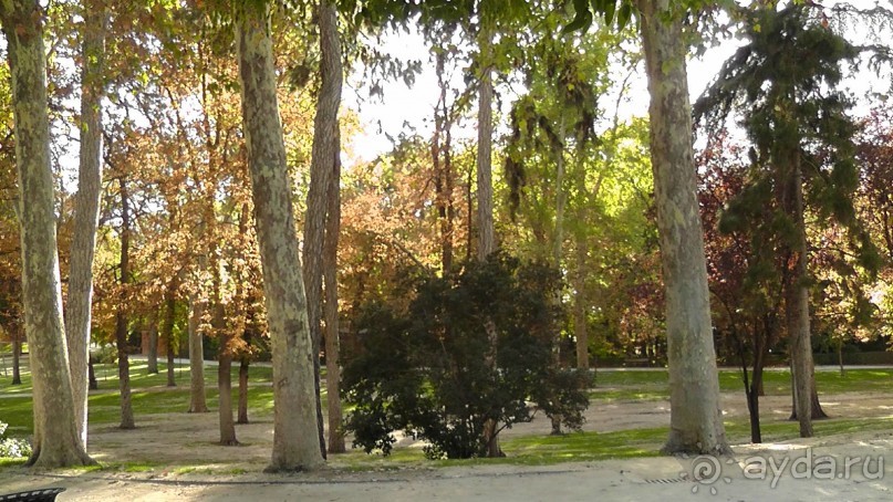 Мадрид. «Вы прекрасны, мой король!». День второй.