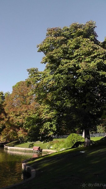 Мадрид. «Вы прекрасны, мой король!». День второй.