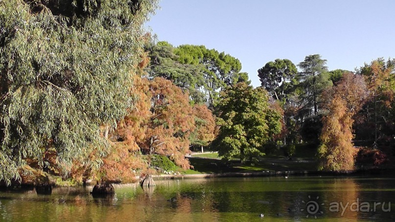 Мадрид. «Вы прекрасны, мой король!». День второй.