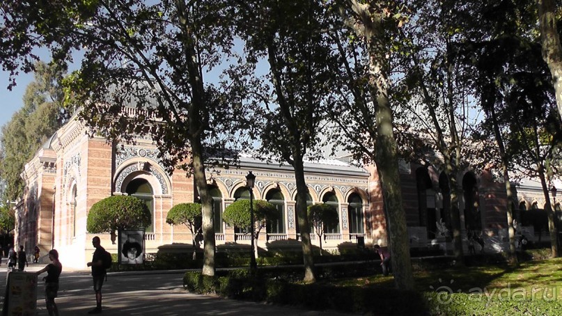 Мадрид. «Вы прекрасны, мой король!». День второй.