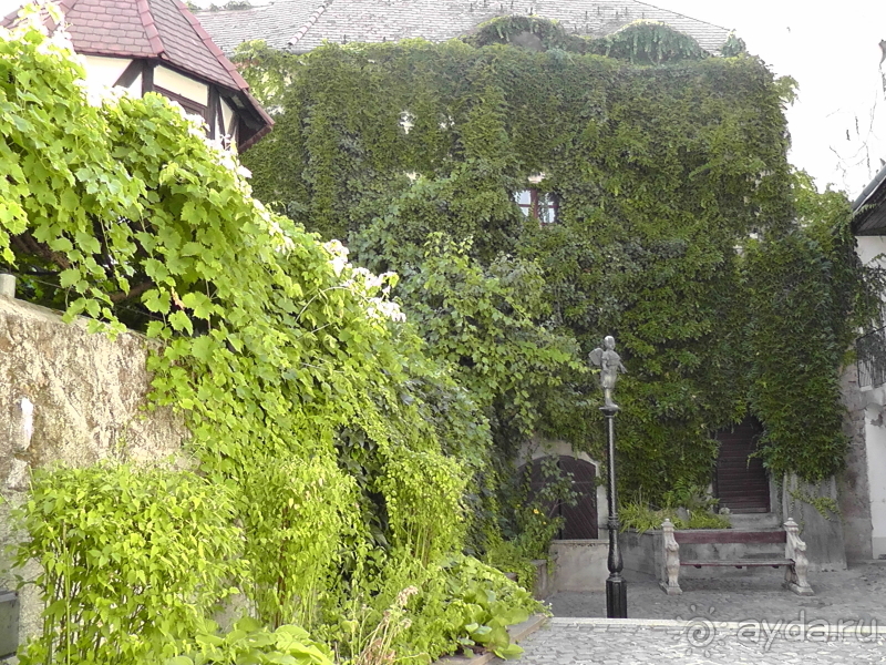 Сентендре. Это Венгрия!  Курортно-сувенирный городок в пригороде Будапешта.