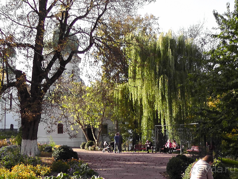 Киев, Ботанический сад. Весна-лето, осень-зима, а в середине Вечность! Вечность - Выдубицкого монастыря.