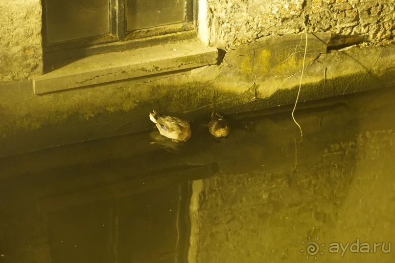 Брюгге, Бельгия. «Гулять, так гулять!». Брюгге – ночь.