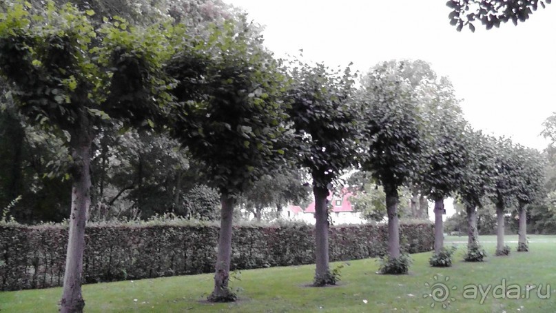 Брюгге, Бельгия. «Гулять, так гулять!». Брюгге – ночь.