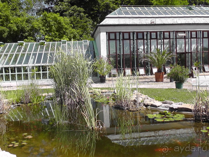 Кестхей. Это Венгрия!  Замок-дворец №1 в Венгрии.