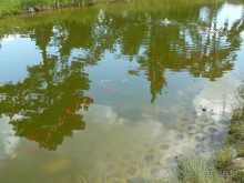 Кестхей. Это Венгрия!  Замок-дворец №1 в Венгрии.