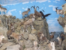 Кестхей. Это Венгрия!  Замок-дворец №1 в Венгрии.