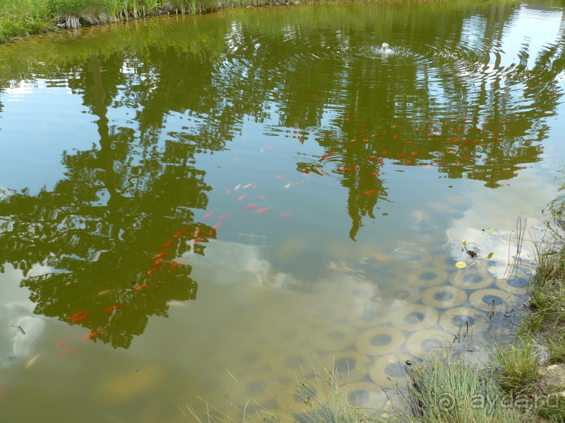 Кестхей. Это Венгрия!  Замок-дворец №1 в Венгрии.